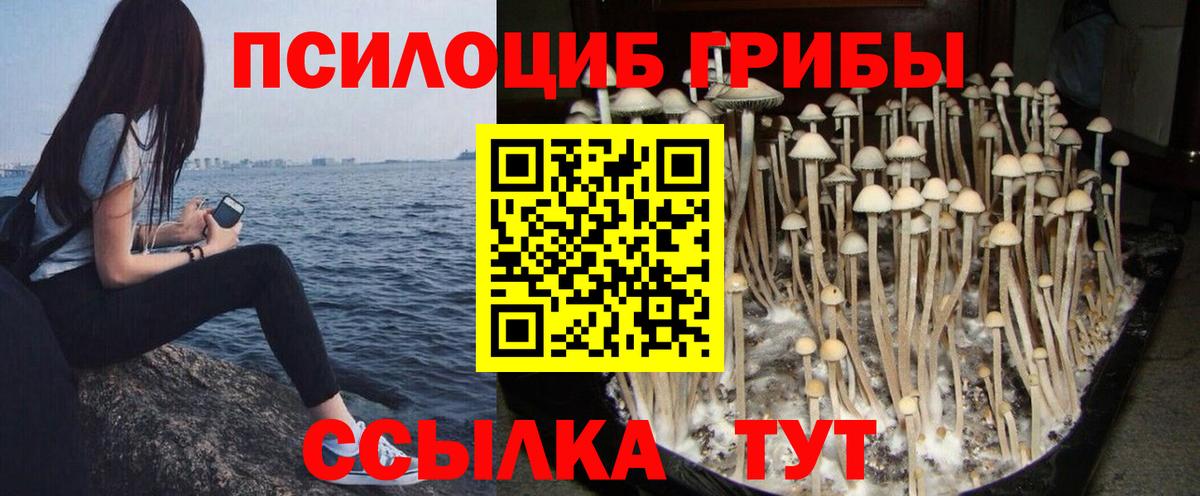 Галлюциногенные грибы мицелий Новоалександровск